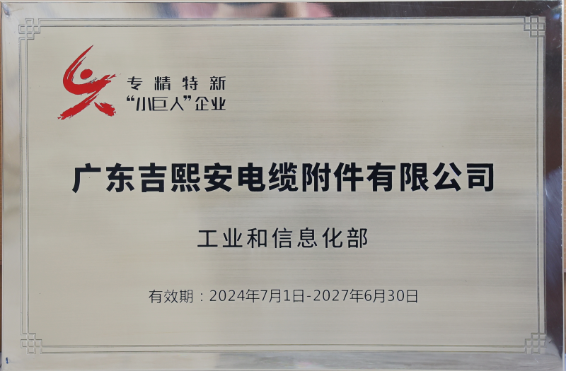 專精特新“小巨人”企業(yè)
